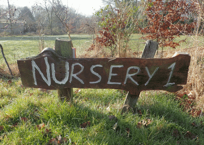 Nursery 1