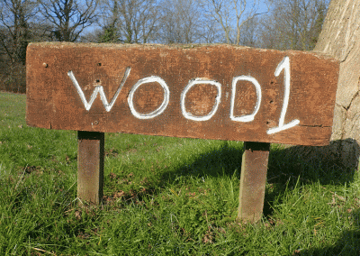Wood Site 1